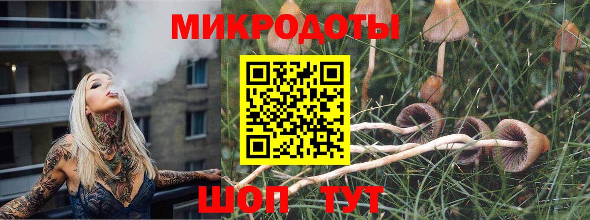 Псилоцибиновые грибы Psilocybine cubensis Качканар