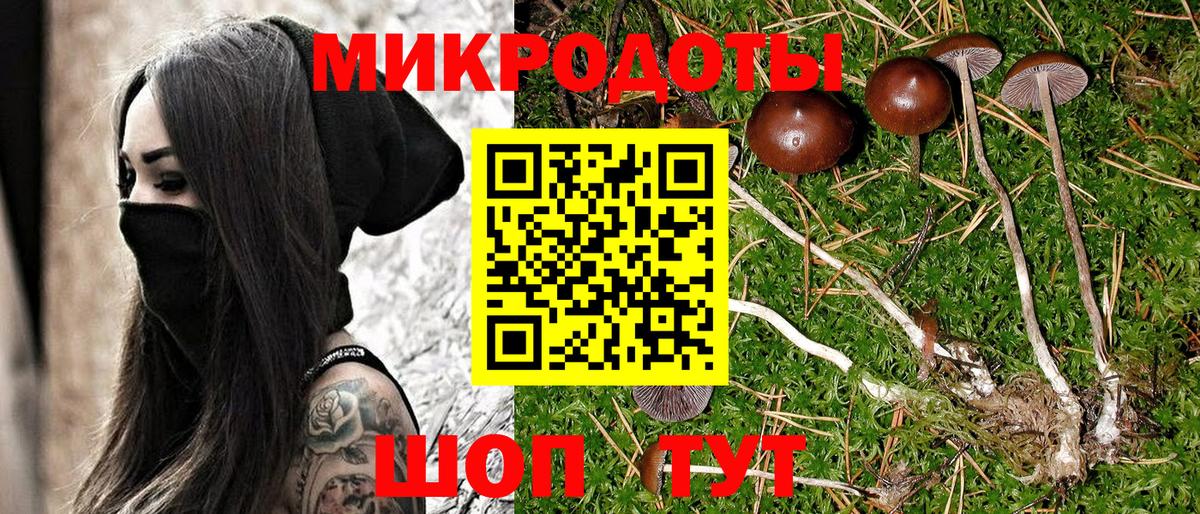 Галлюциногенные грибы GOLDEN TEACHER  Вход с VPN  Качканар  Галлюциногенные грибы Magic Shrooms 